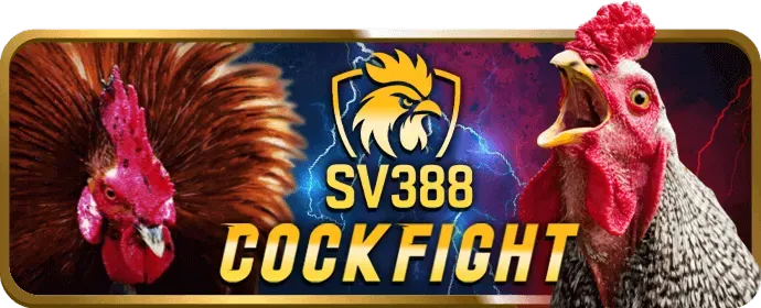 Giao diện cá cược thể thao mới của bl5555 win với nhiều môn thể thao và tỷ lệ cược hấp dẫn